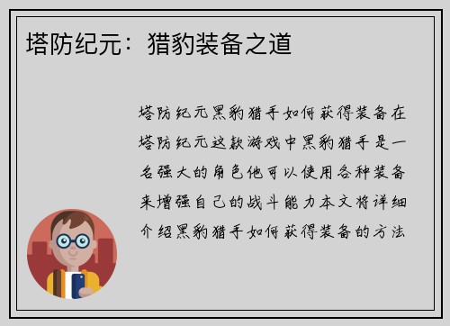 塔防纪元：猎豹装备之道